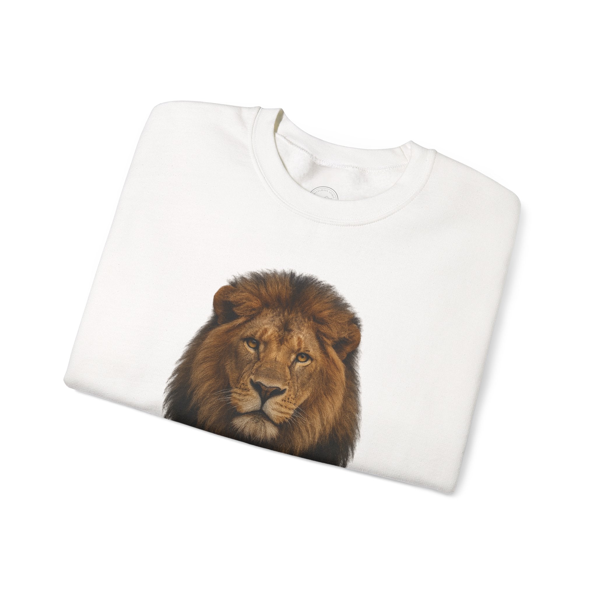Bold as a Lion – Proverbs 28:1 Christian Sweatshirt