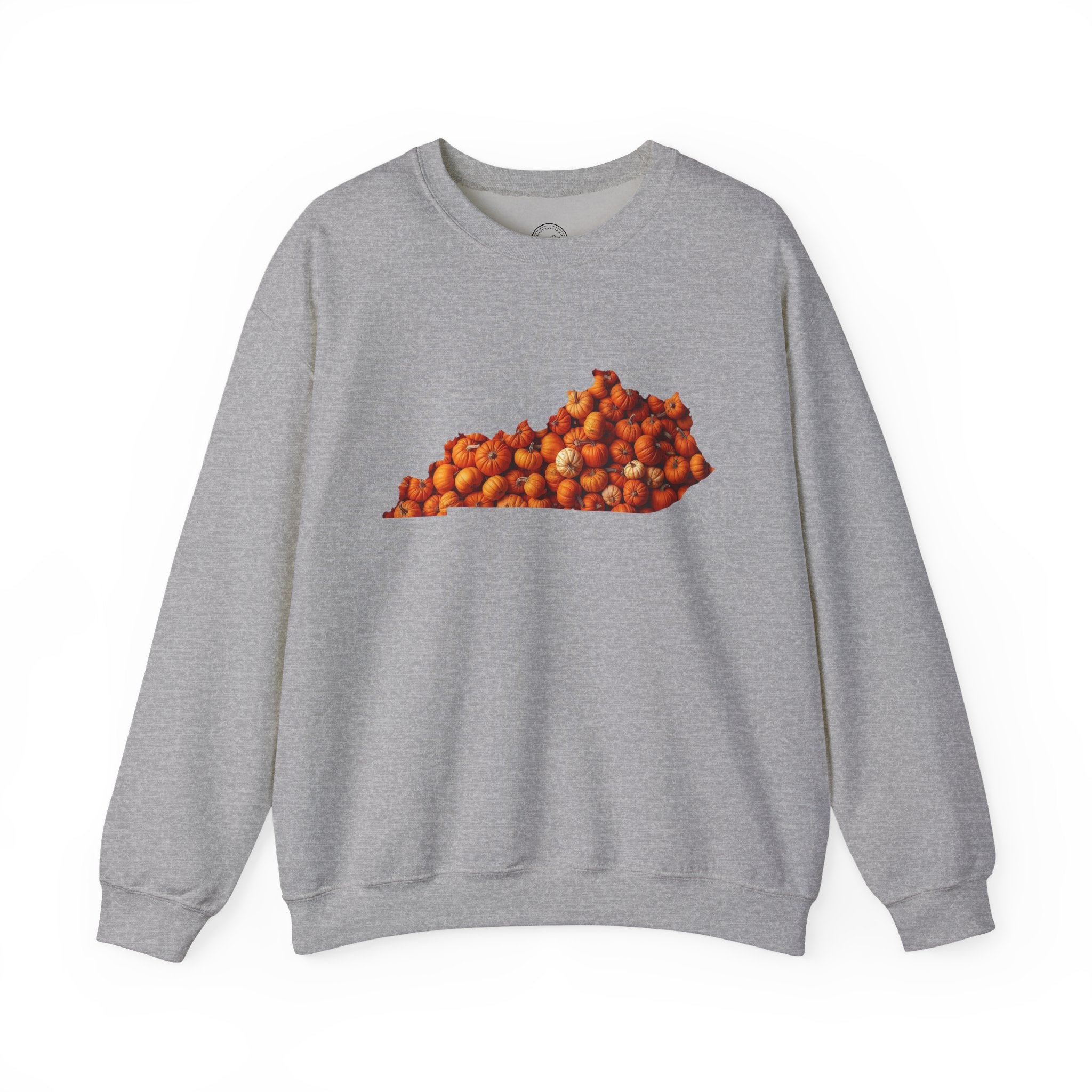 Kentucky Pumpkin Patch Fall Sweatshirt – Cozy Autumn State Pride Pullover