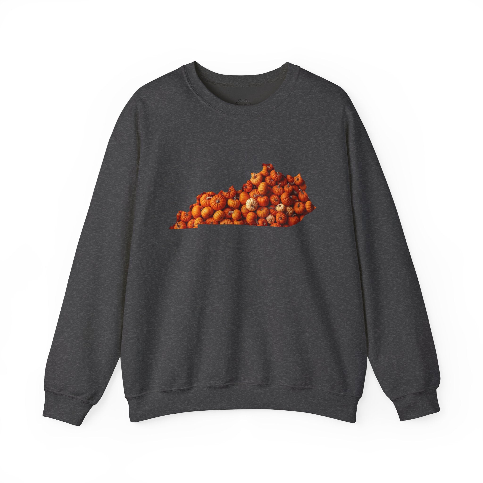Kentucky Pumpkin Patch Fall Sweatshirt – Cozy Autumn State Pride Pullover