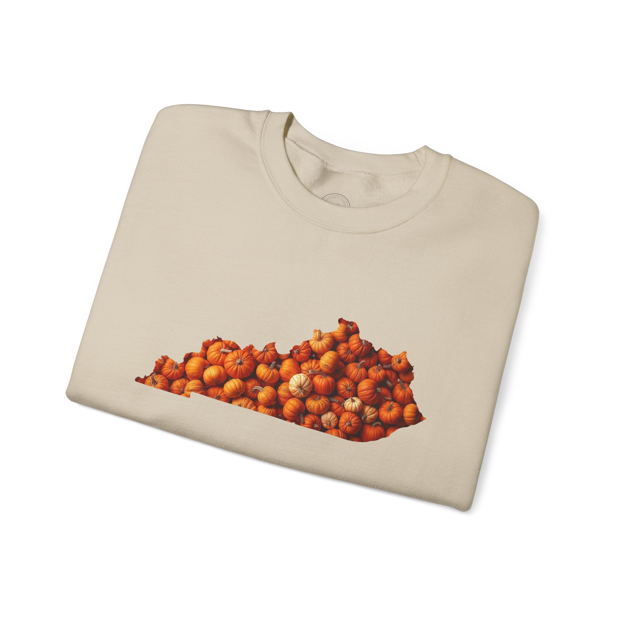 Kentucky Pumpkin Patch Fall Sweatshirt – Cozy Autumn State Pride Pullover