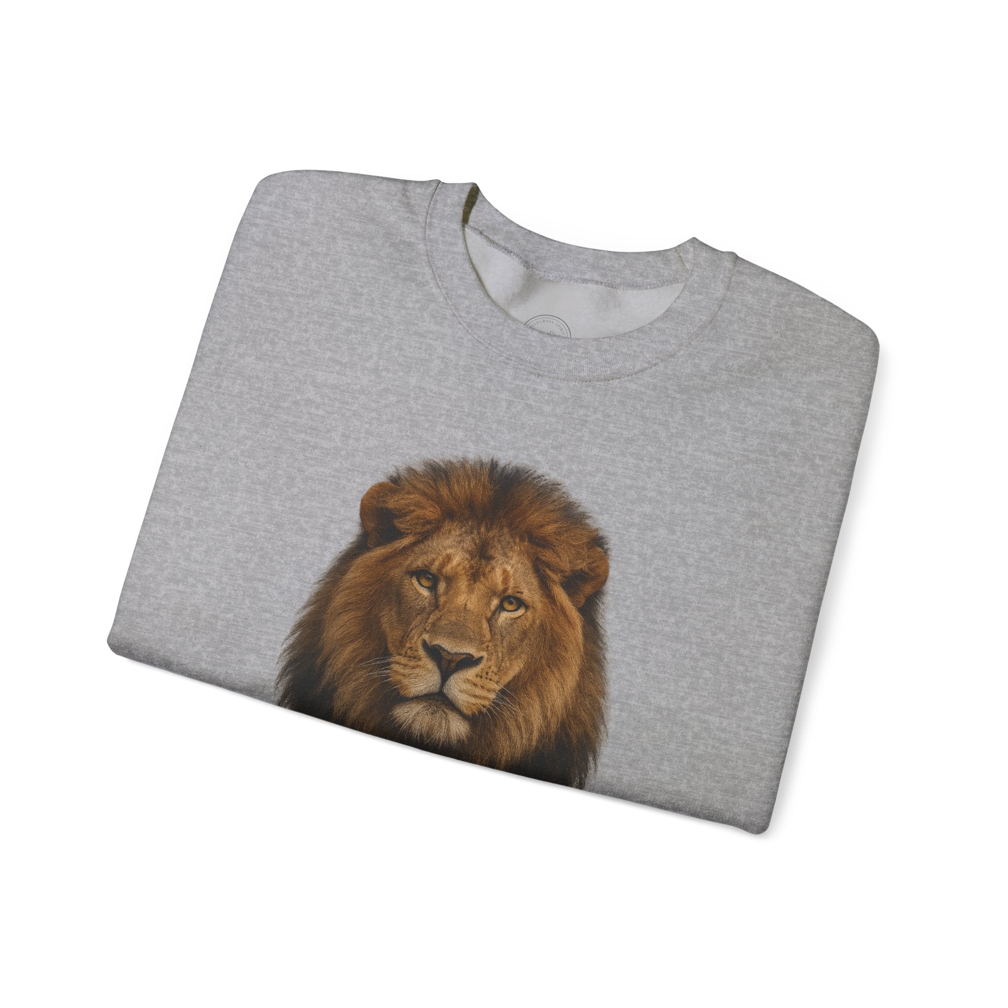 Bold as a Lion – Proverbs 28:1 Christian Sweatshirt