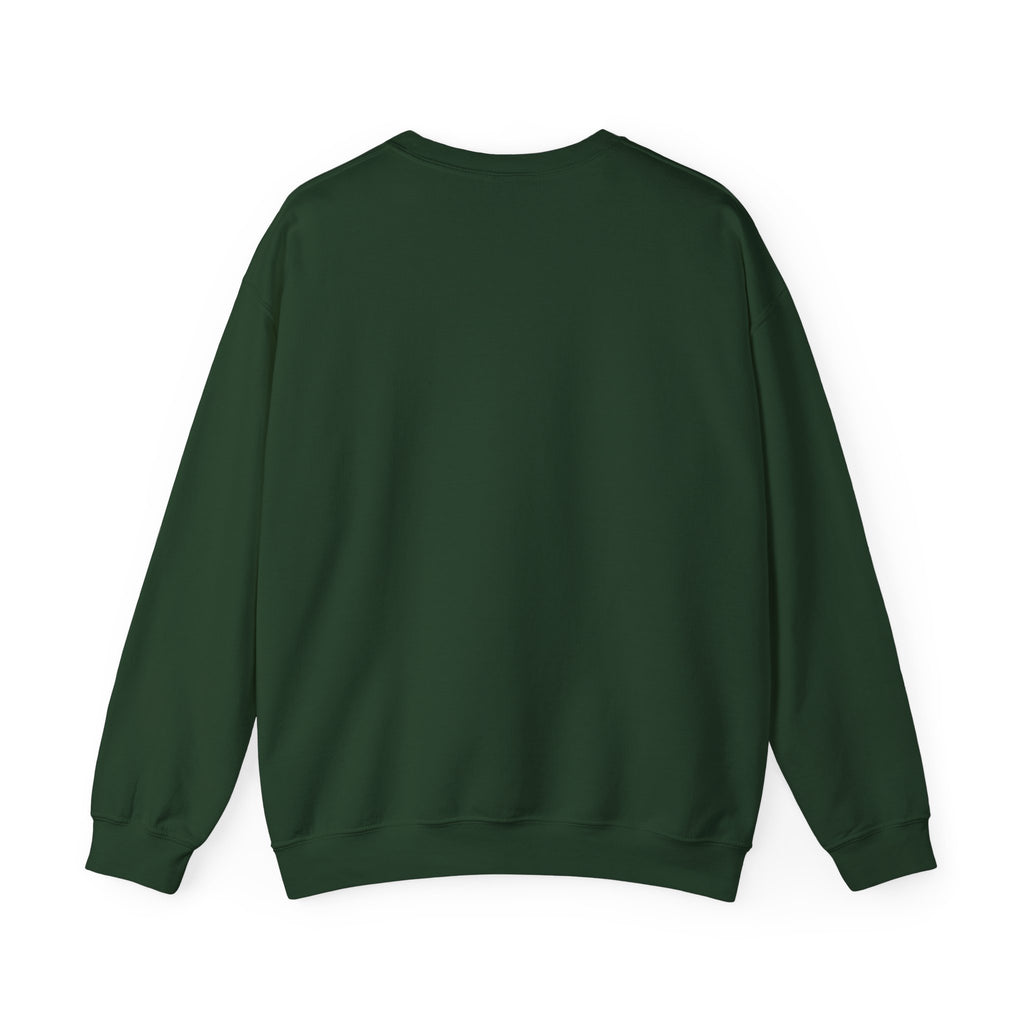 Lucky Leprechaun Rainbow Gold St. Patrick’s Day Sweatshirt | Irish Beer Pullover