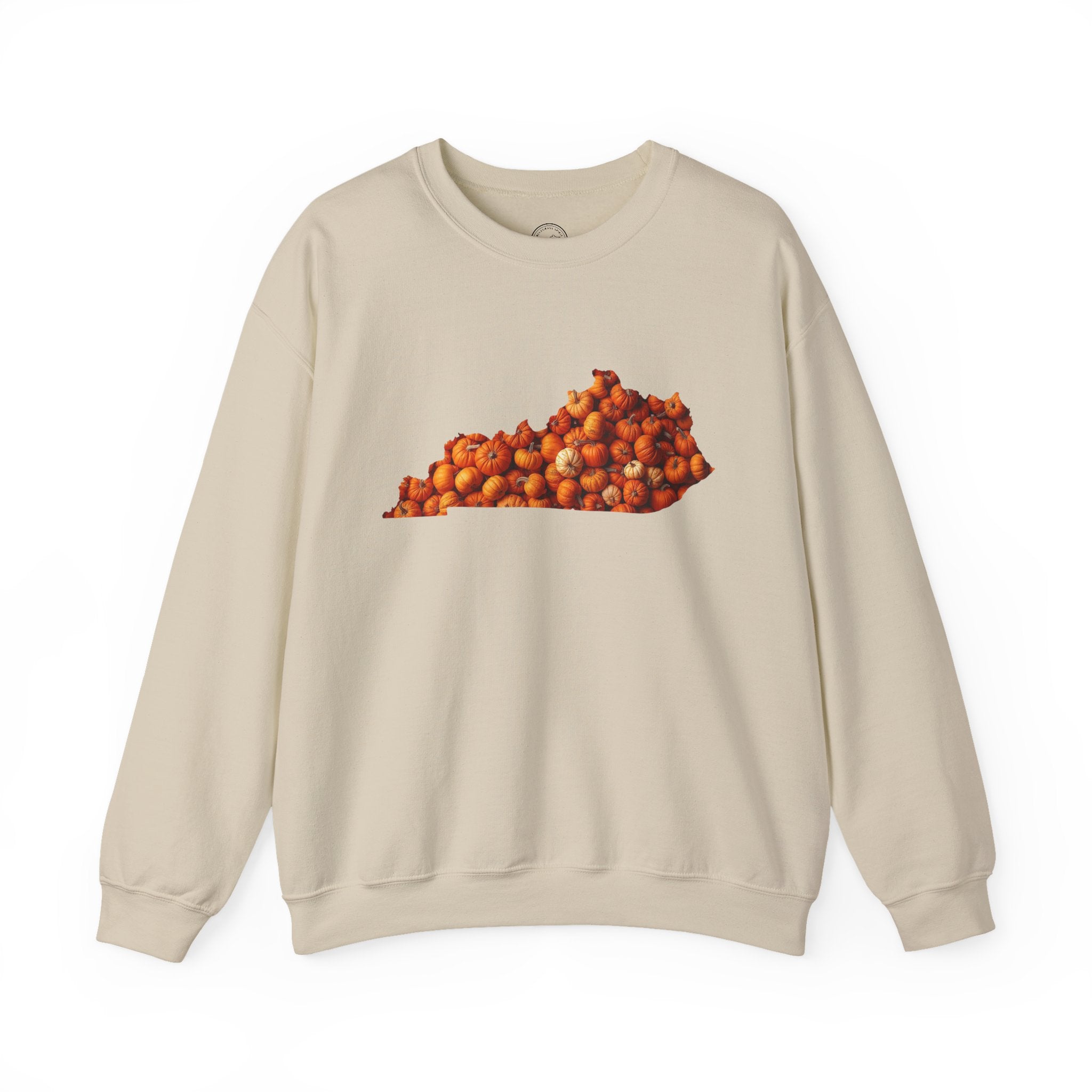 Kentucky Pumpkin Patch Fall Sweatshirt – Cozy Autumn State Pride Pullover