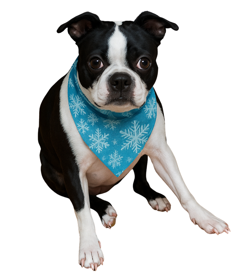 ❄️ Winter Snowflake Pet Bandana – Blue Frost Edition (Multiple Sizes)