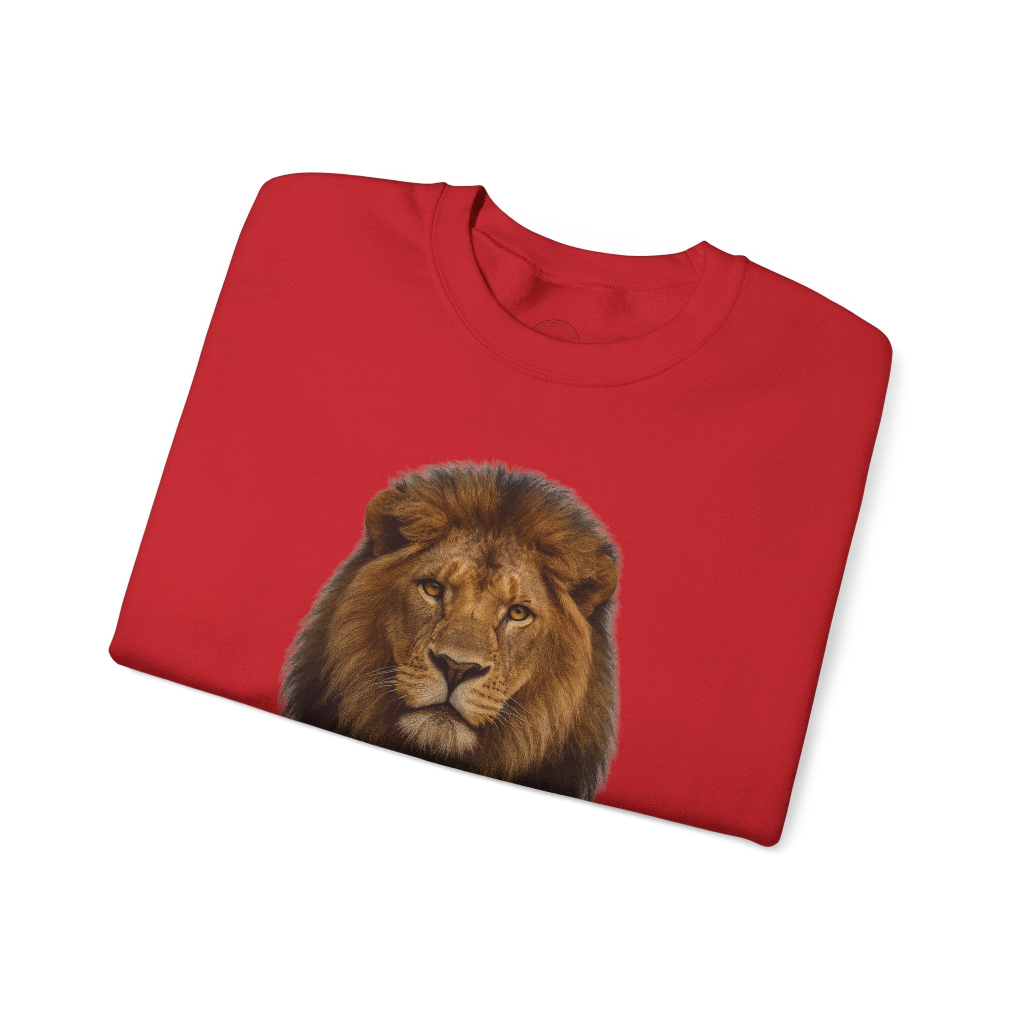 Bold as a Lion – Proverbs 28:1 Christian Sweatshirt