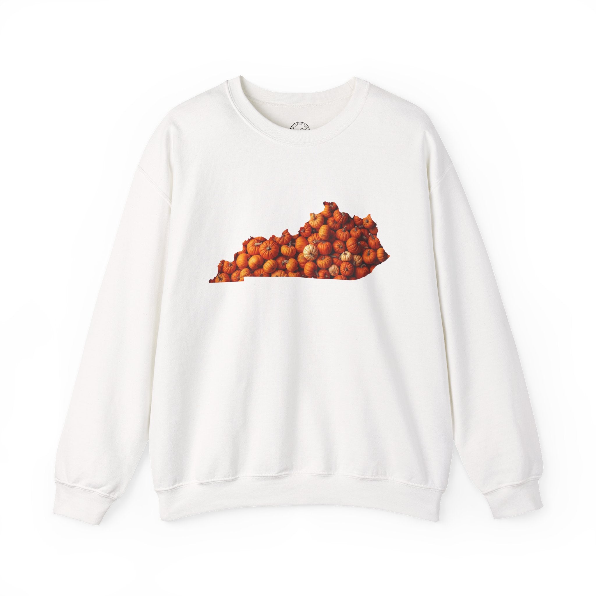Kentucky Pumpkin Patch Fall Sweatshirt – Cozy Autumn State Pride Pullover