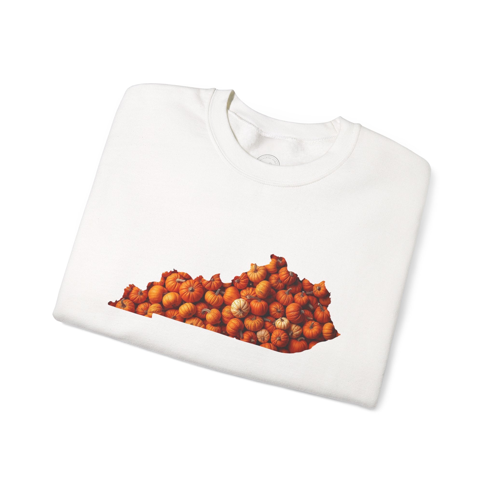 Kentucky Pumpkin Patch Fall Sweatshirt – Cozy Autumn State Pride Pullover