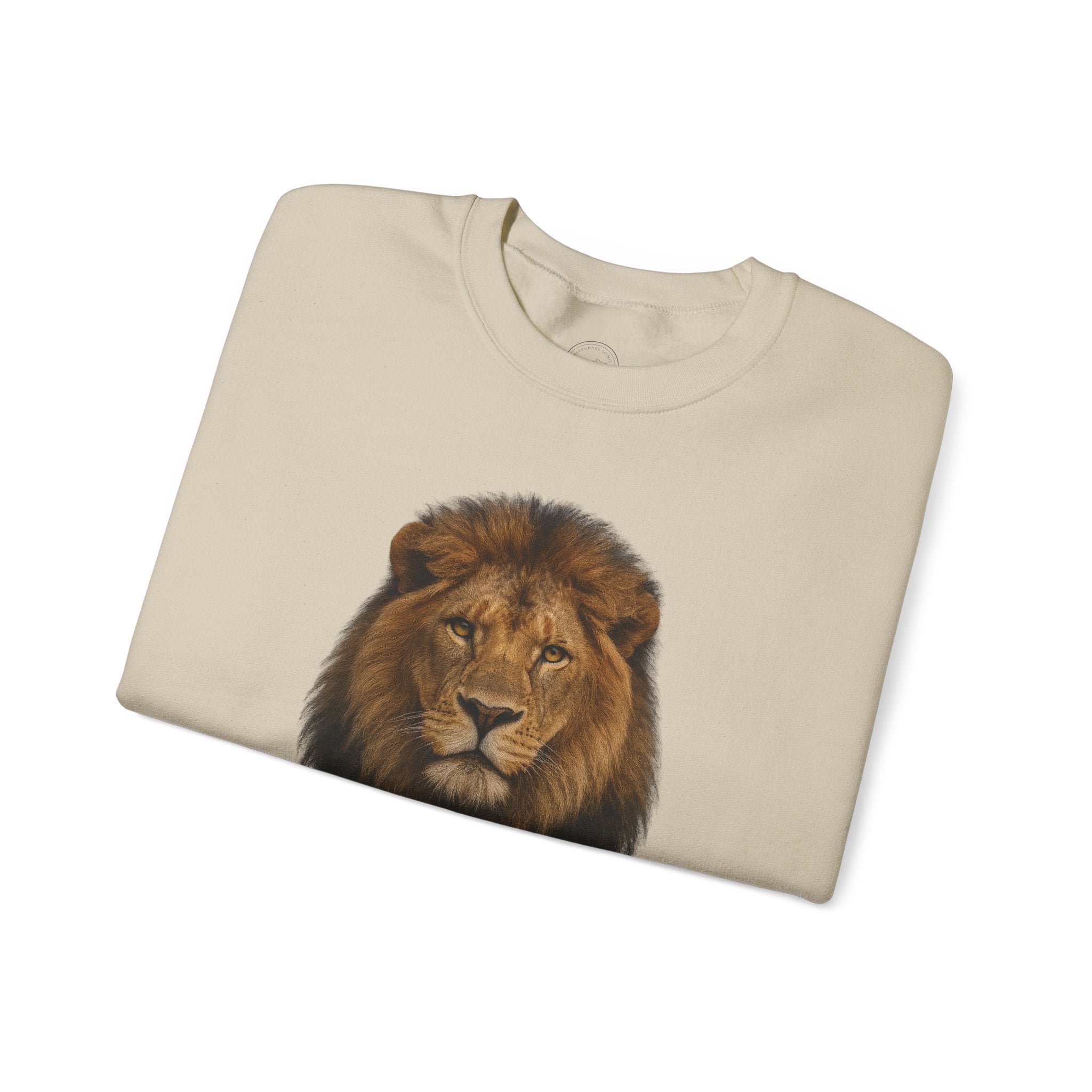 Bold as a Lion – Proverbs 28:1 Christian Sweatshirt
