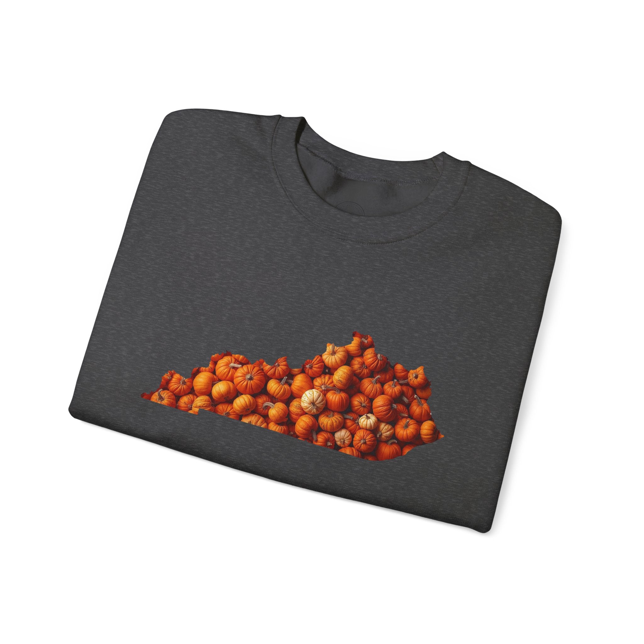 Kentucky Pumpkin Patch Fall Sweatshirt – Cozy Autumn State Pride Pullover